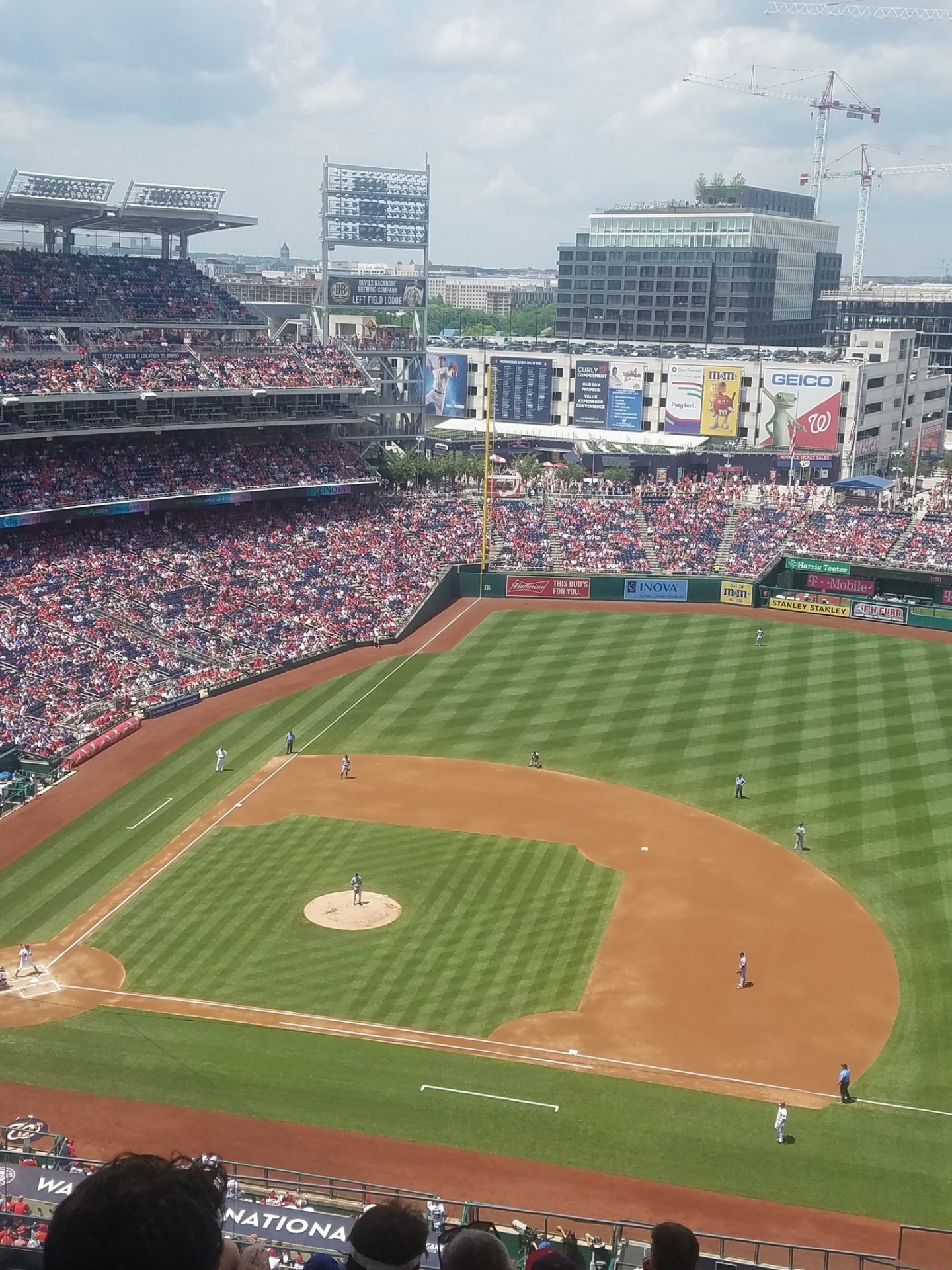 Junior Travel Baseball : D.C. Grays RBI