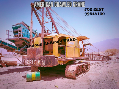 AMERICAN Crawled Crane 
