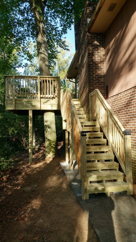 Tree Deck Stairs