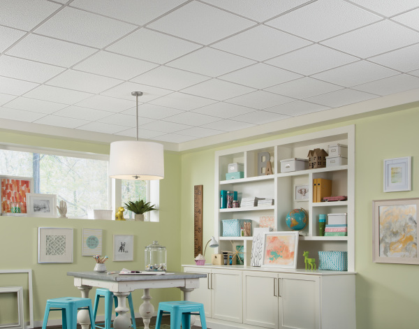 Armstrong Drop Ceiling | www.longbarninc.com