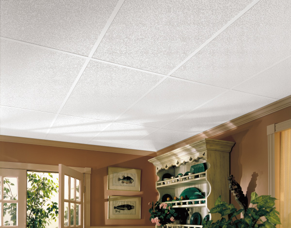 Armstrong Drop Ceiling | www.longbarninc.com