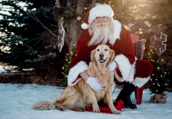Messages to Pooch Photography