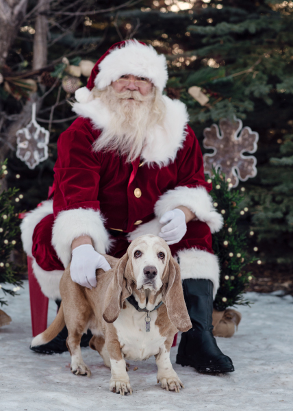 Messages to Pooch Photography