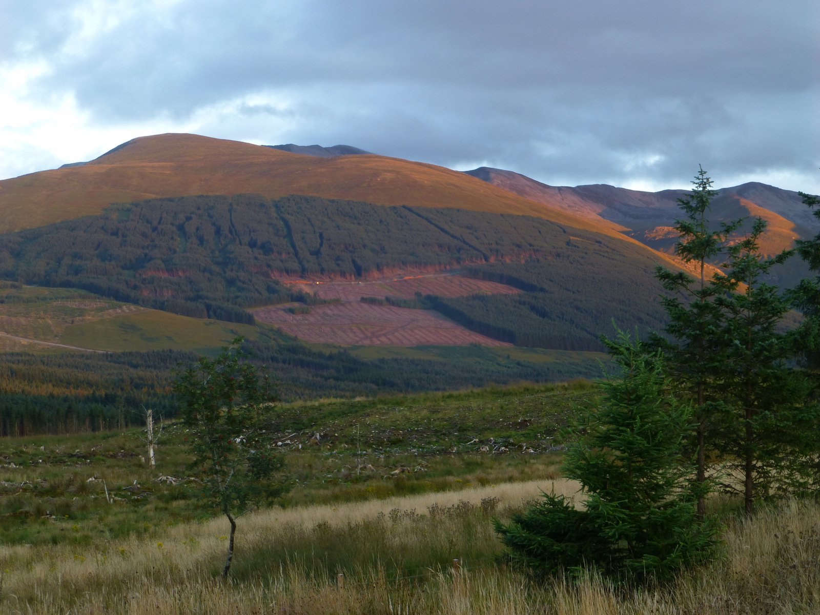 View from the house to the Lairig