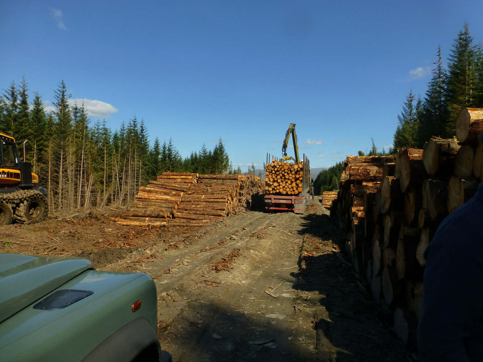 Loading timber