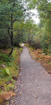 Footpaths Completed!