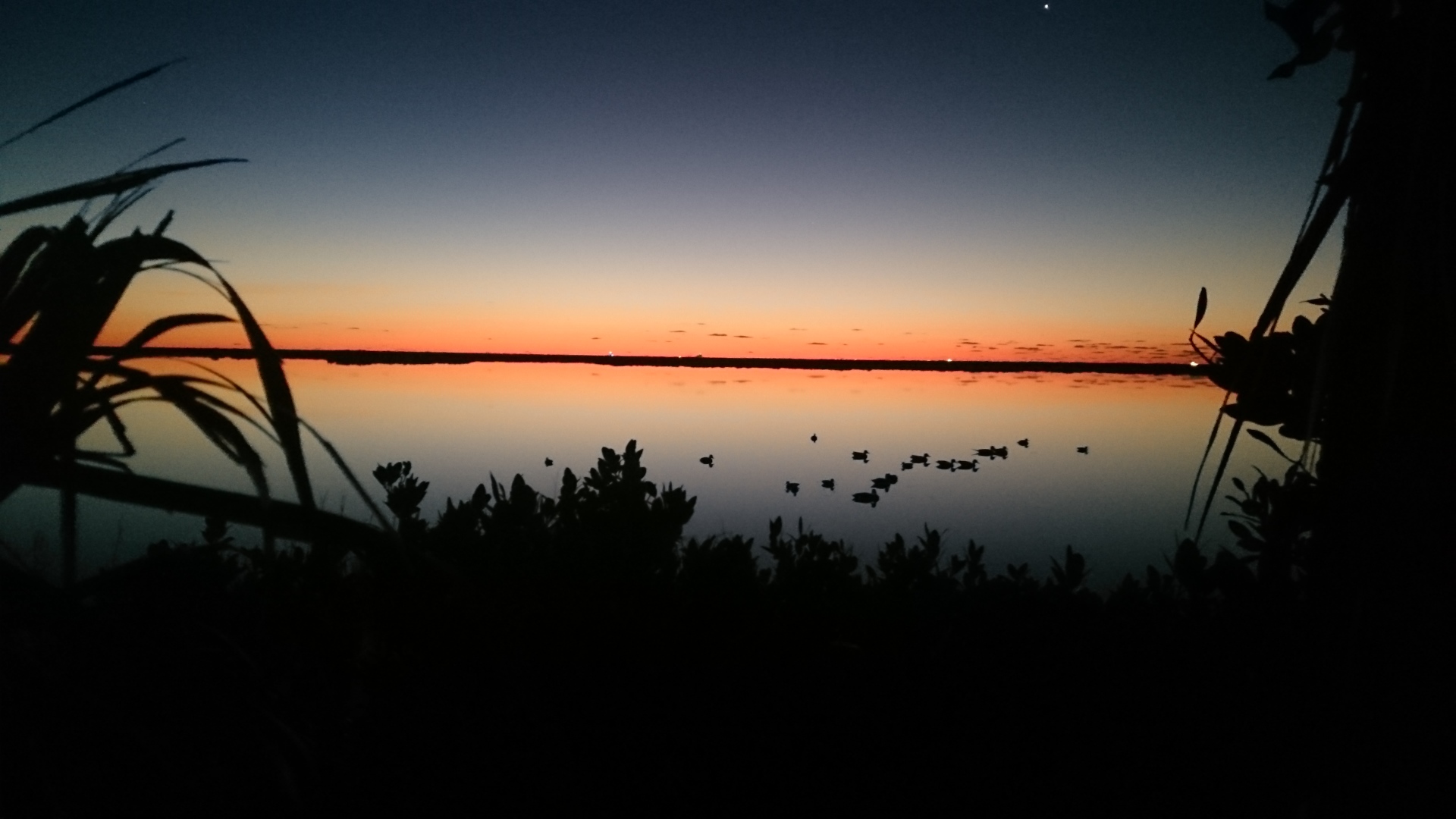 duck hunting sunrise pictures