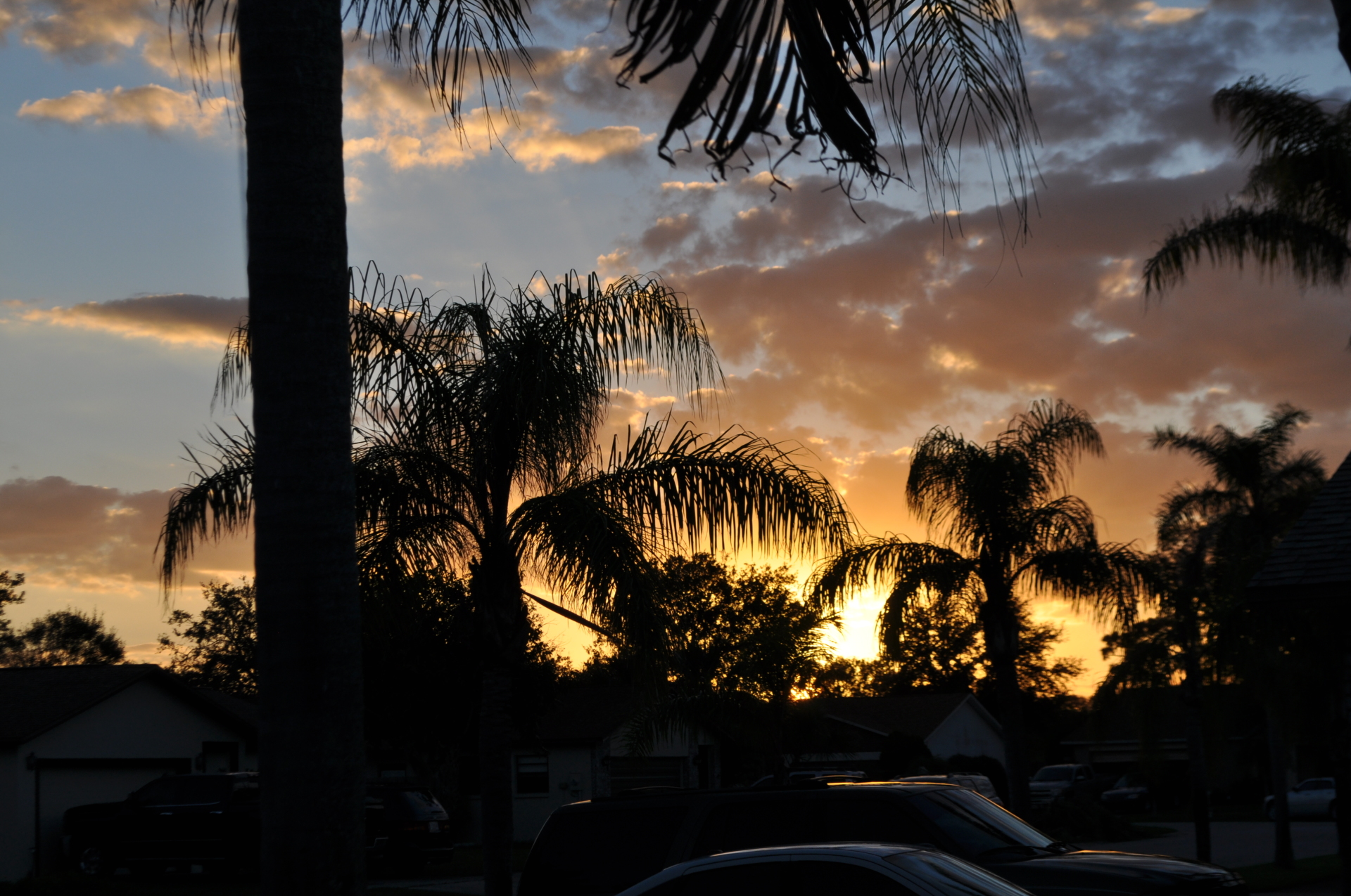 Melbourne Sunset