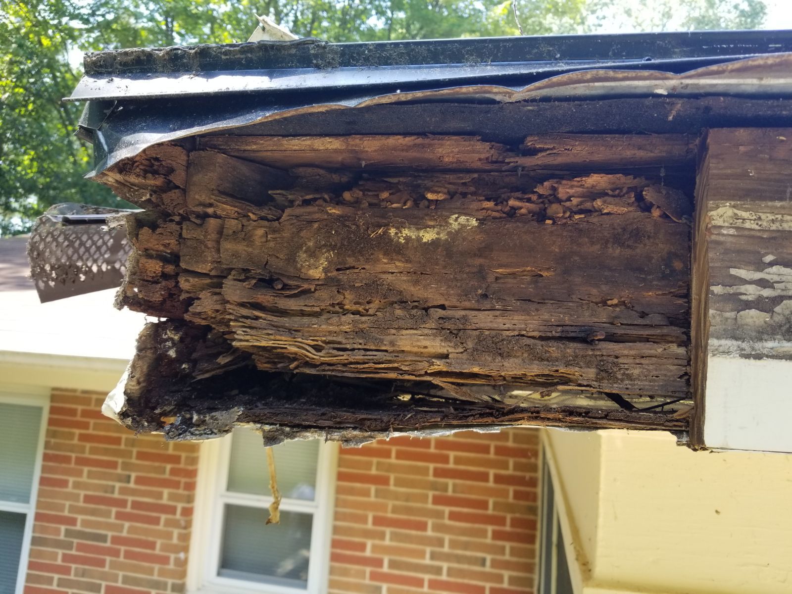 Wood Rot-Before