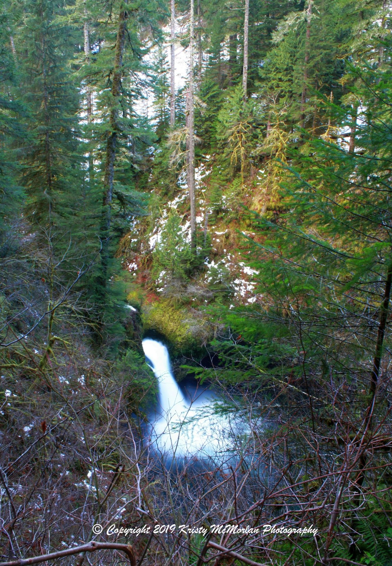 Eagle Creek, Oregon - one of the most amazing hikes I've been on, another  world kind of experience. These are not even the best views on the trail. :  r/hiking