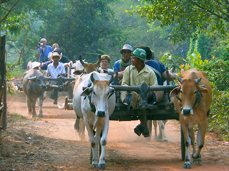 Ox-Cart-Ride-02-453x340.jpg