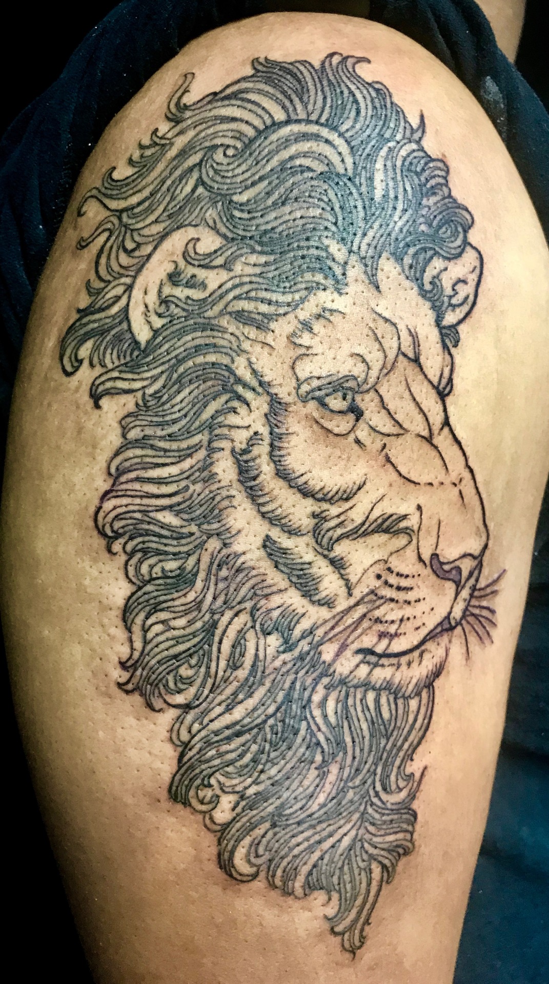 Kael Muelver