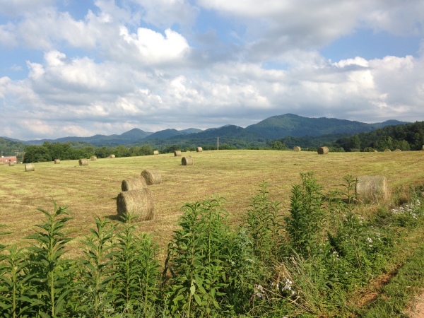 Bales of grass or hay bake golden in the sun. Forests and mountains break up the center line of the phone with fluffy white clouds filling a light blue sky