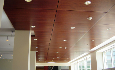 Specialty Ceilings