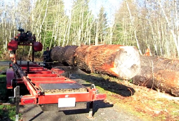 Big Fir Log