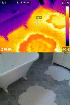 Flir camera