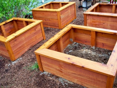 Grow beds with food grade stain