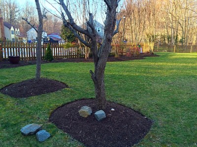 Mulching & Maintenance