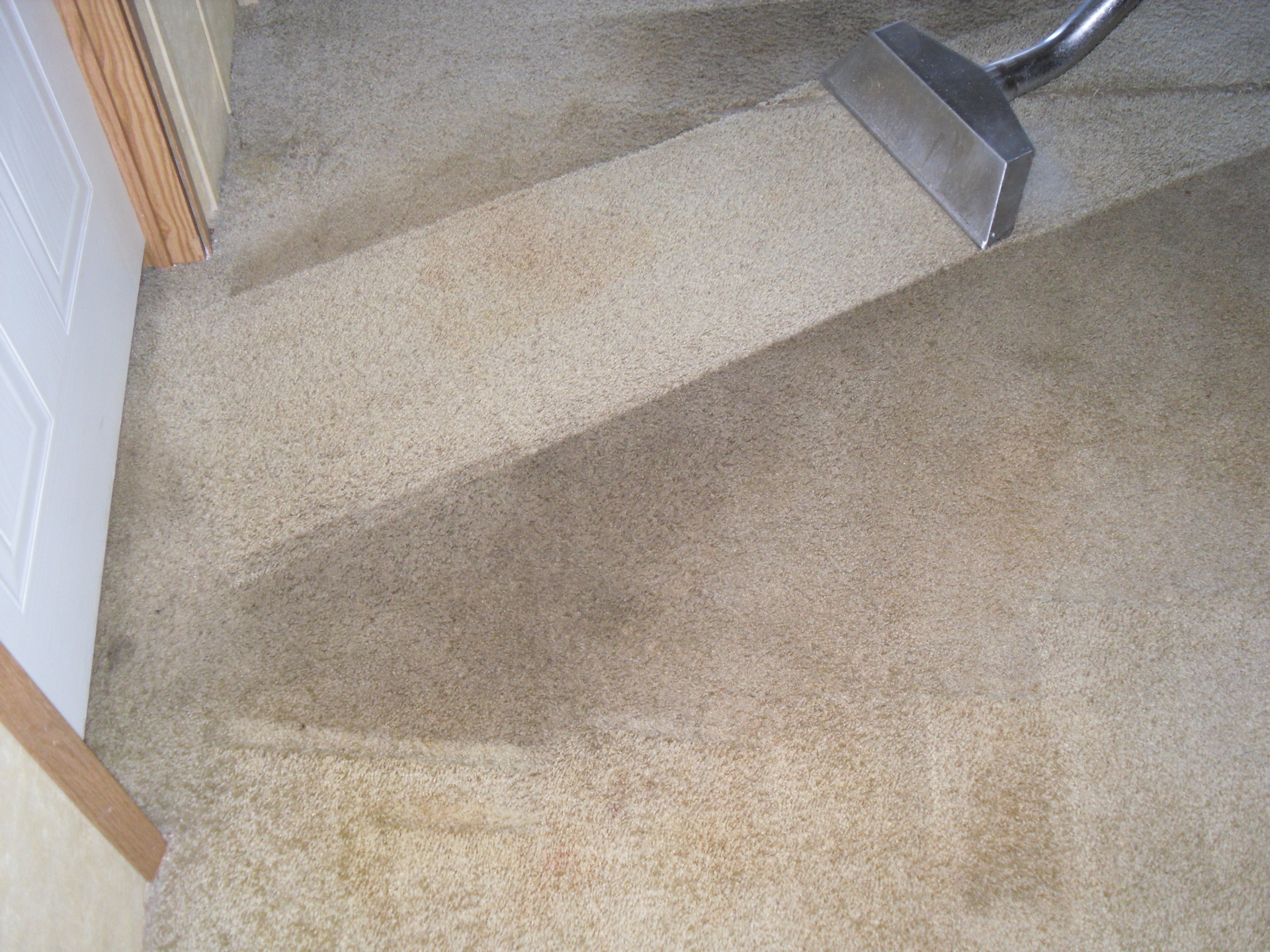 Carpet Cleaners Canton Alpharetta Kings Carpet Cleaning