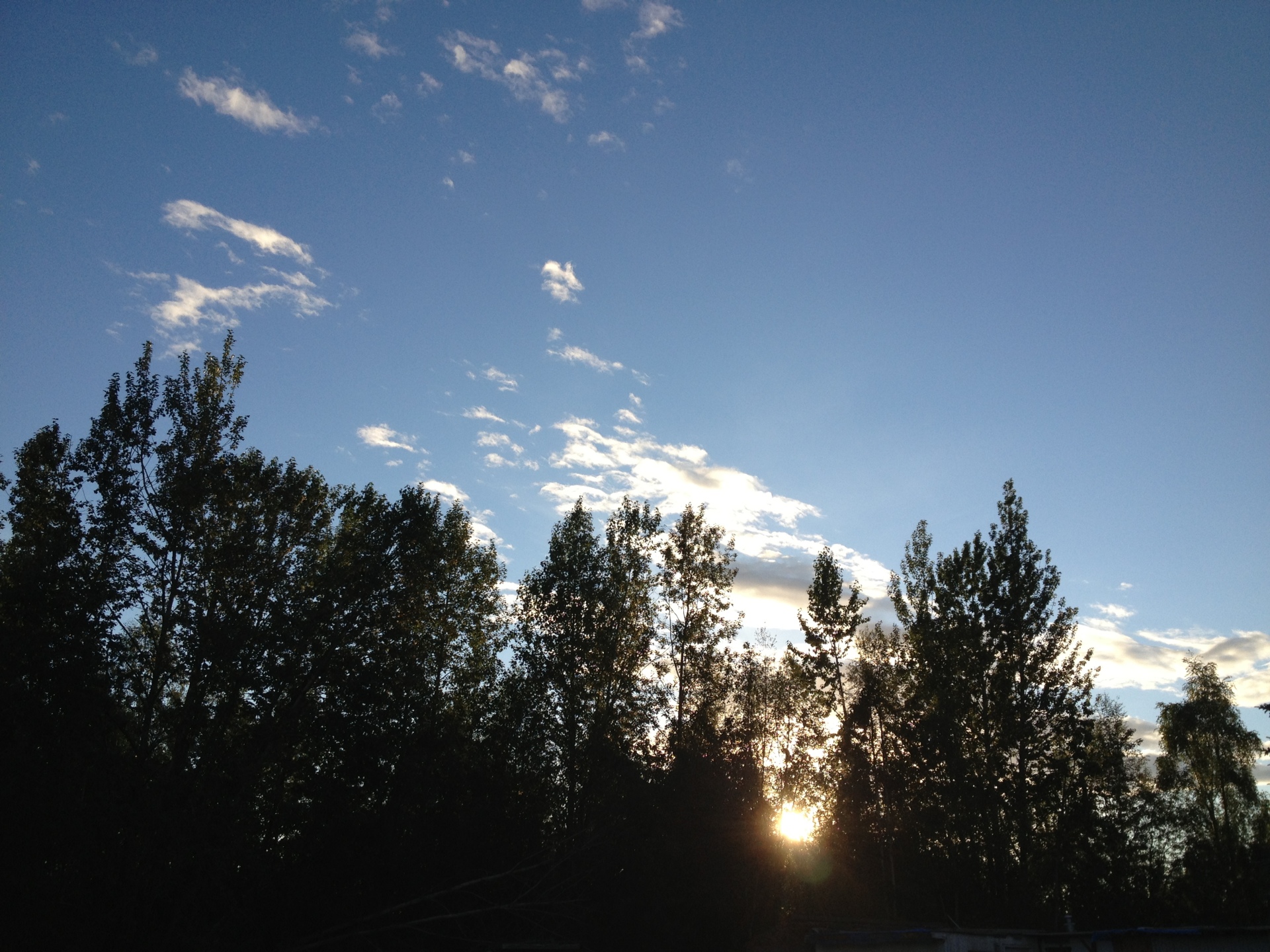 Midnight in Alaska (Summer)