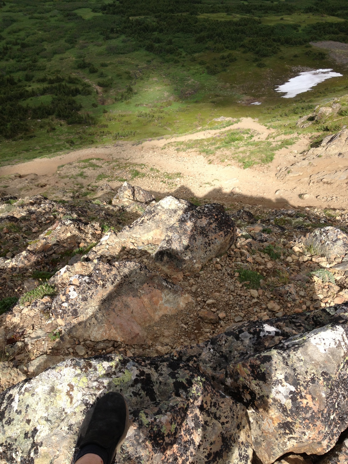 I climbed this!