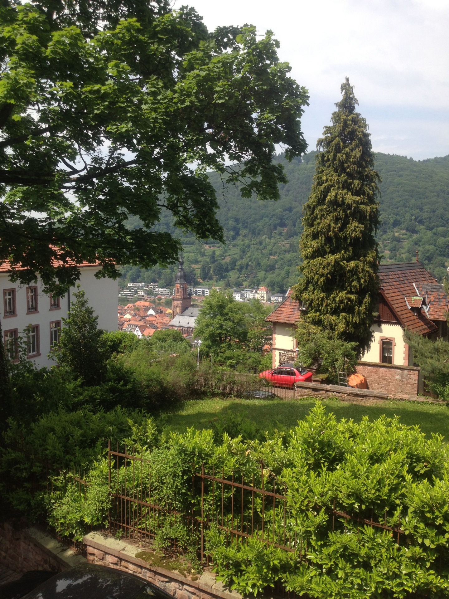 View over Heidelberg from the castle