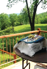 A View from the Deck at Liziana Creations