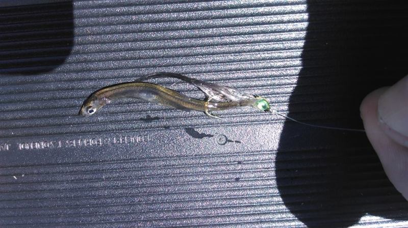 Midge Shrec Trolling Lure