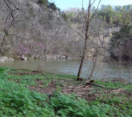 Early spring at the swimmin' hole