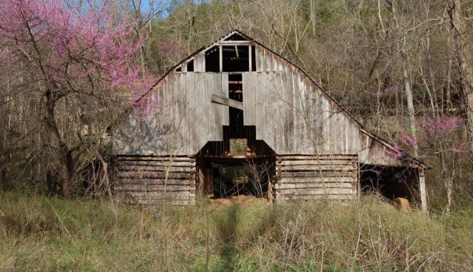 Old Rush Barn in the bottoms