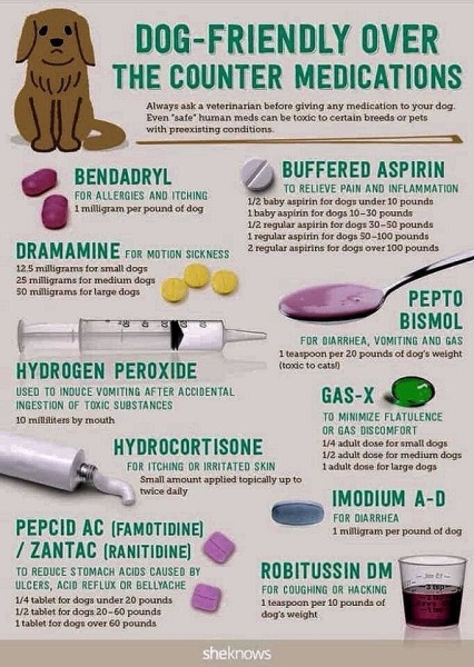 Azithromycin For Dogs Dosage Chart