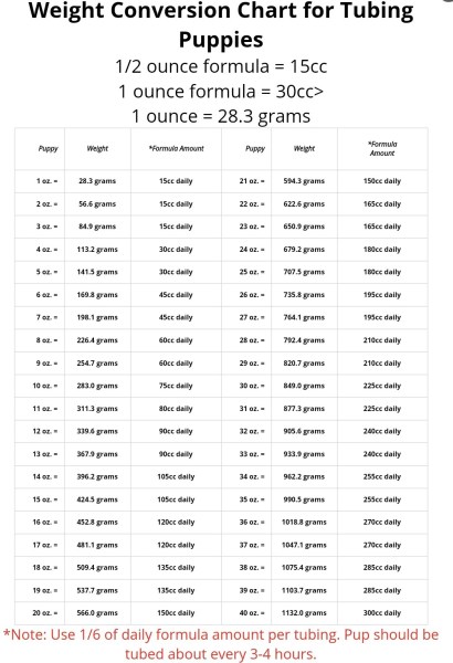 Vetgen Color Chart