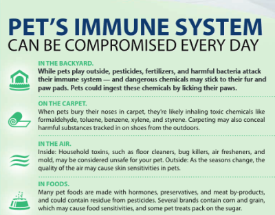 Pet Action Plus Dosage Chart