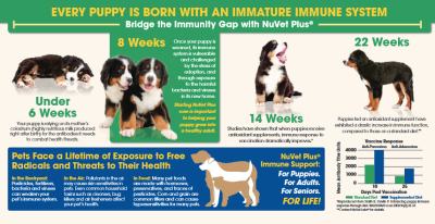 Pet Action Plus Dosage Chart