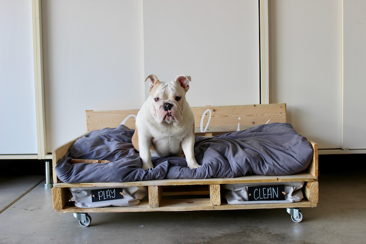 We can use pallet & old linen to pull off this cute dog bed