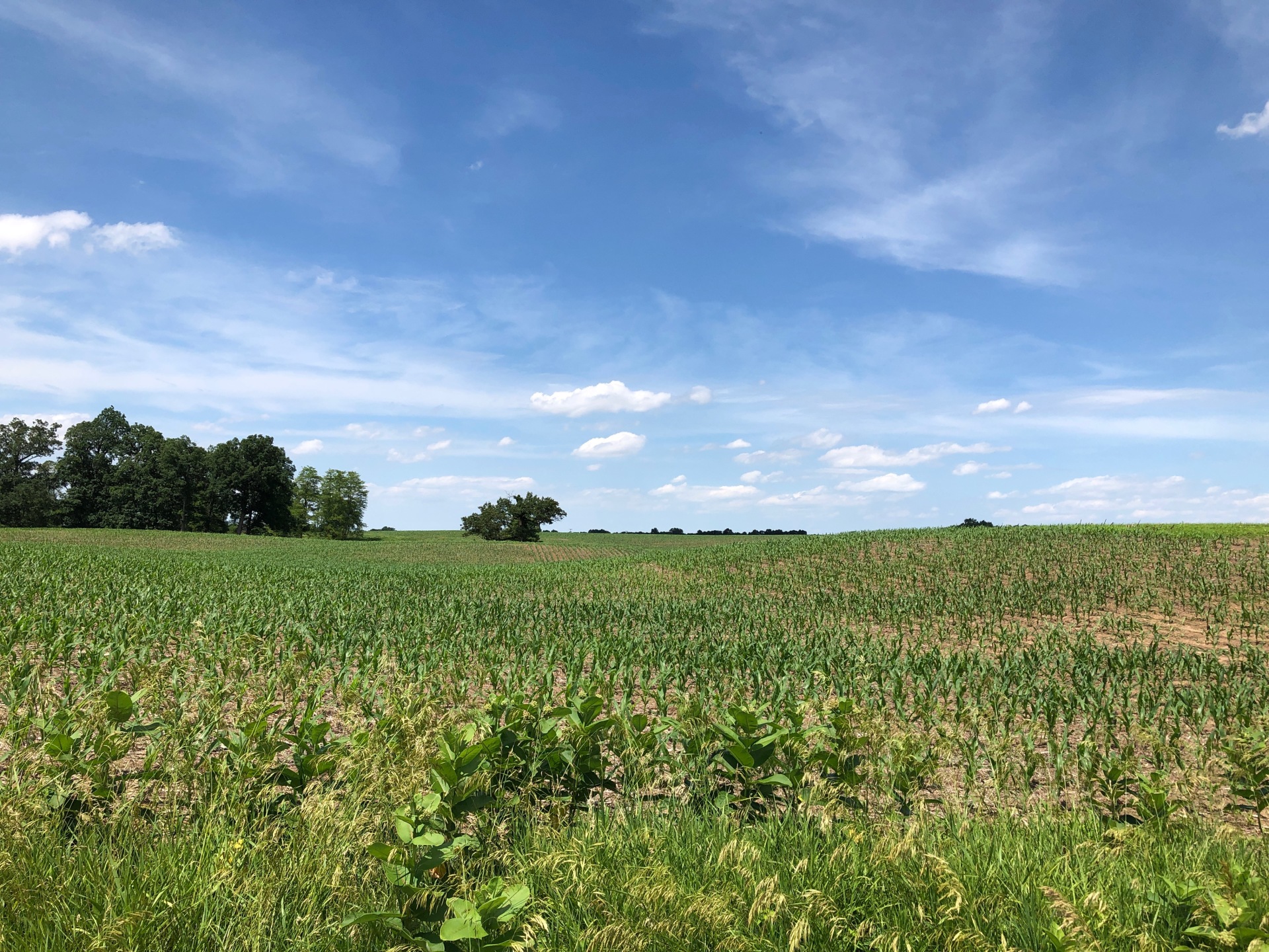 Warsaw, Indiana Crime Spotlight: The Glory Barn