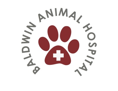 baldwin animal hospital mahopac