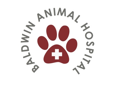 baldwin animal hospital puerto rico