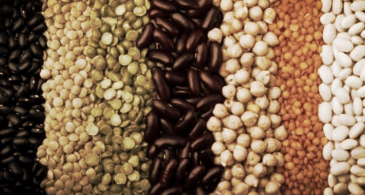 Aliment&iacute;cio