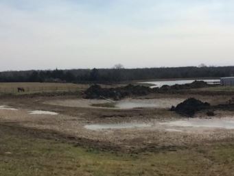 Pond Construction