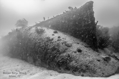 Belcher Barge Wreck, Miami, FL - Photograph by Letizia Pallozzi