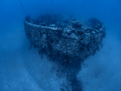 Diving Proteus Wreck with Tarpoon Lagoon in Miami Beach, FL