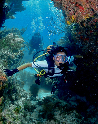 Diving Emerald Reef with Tarpoon Lagoon in Miami Beach, FL