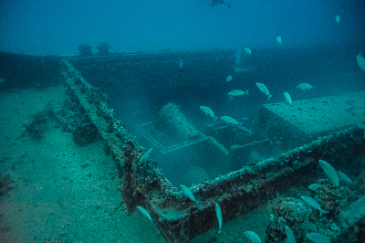 Diving Princess Britney Wreck with Tarpoon Lagoon in Miami Beach, FL