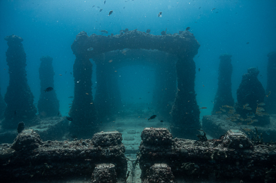 Diving Neptune Memorial Reef with Tarpoon Lagoon in Miami Beach, FL