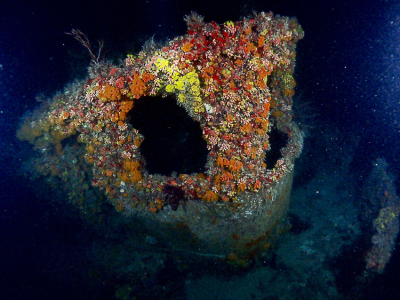 Diving Rio Miami Wreck with Tarpoon Lagoon in Miami Beach, FL