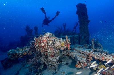 Diving Ultra Freeze Wreck with Tarpoon Lagoon in Miami Beach, FL