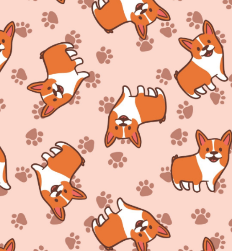 Corgi Wallpapers