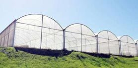 Estufas Agrícolas