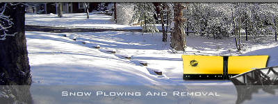 Snow Removal Services